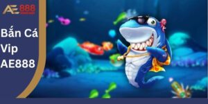 Trải Nghiệm Săn Cá Đỉnh Cao